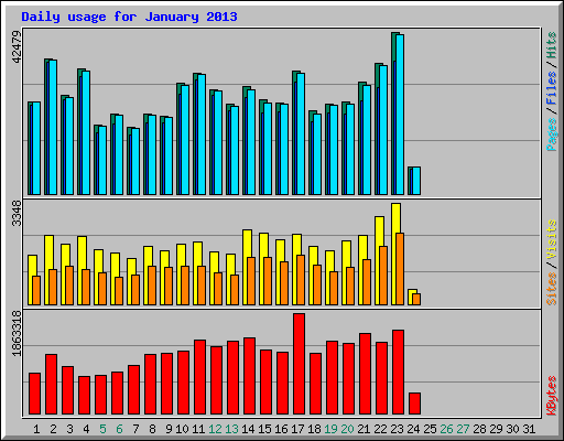 Daily usage for January 2013