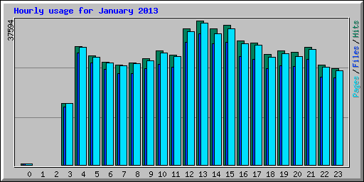 Hourly usage for January 2013